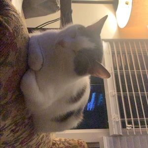 Meet your Posher, Diana